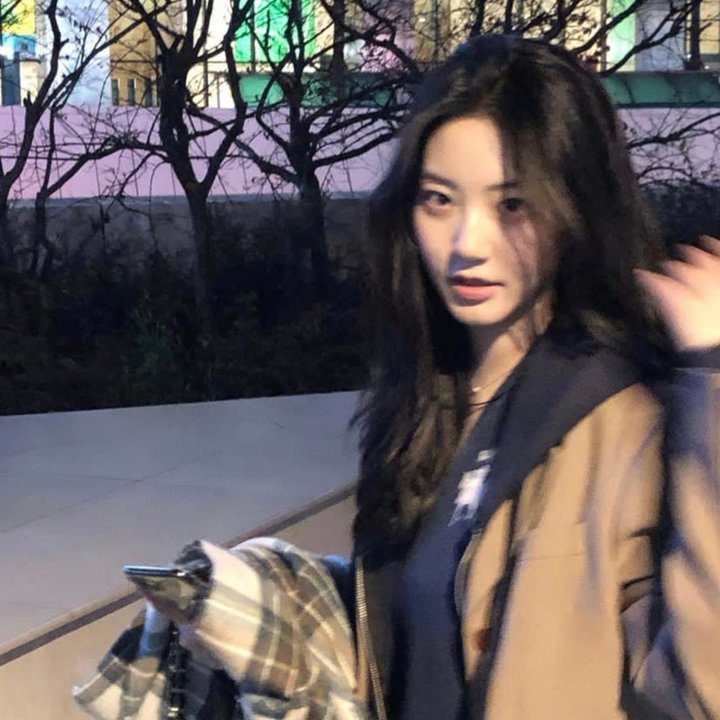 犹太狮子